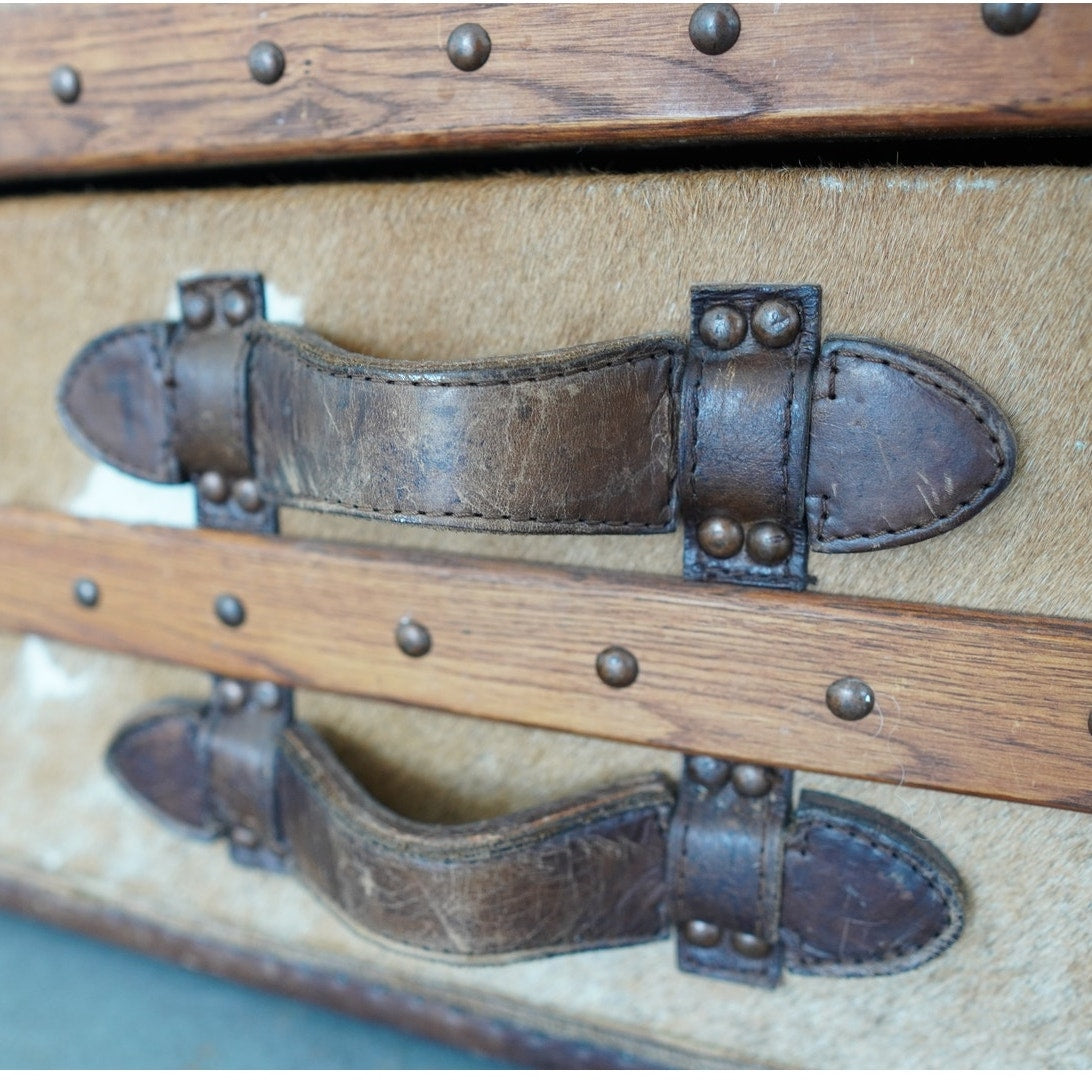Timothy Oulton Cowhide Harrow Trunk