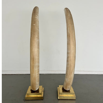 Life-Sized Faux Elephant Tusks (Set of 2)