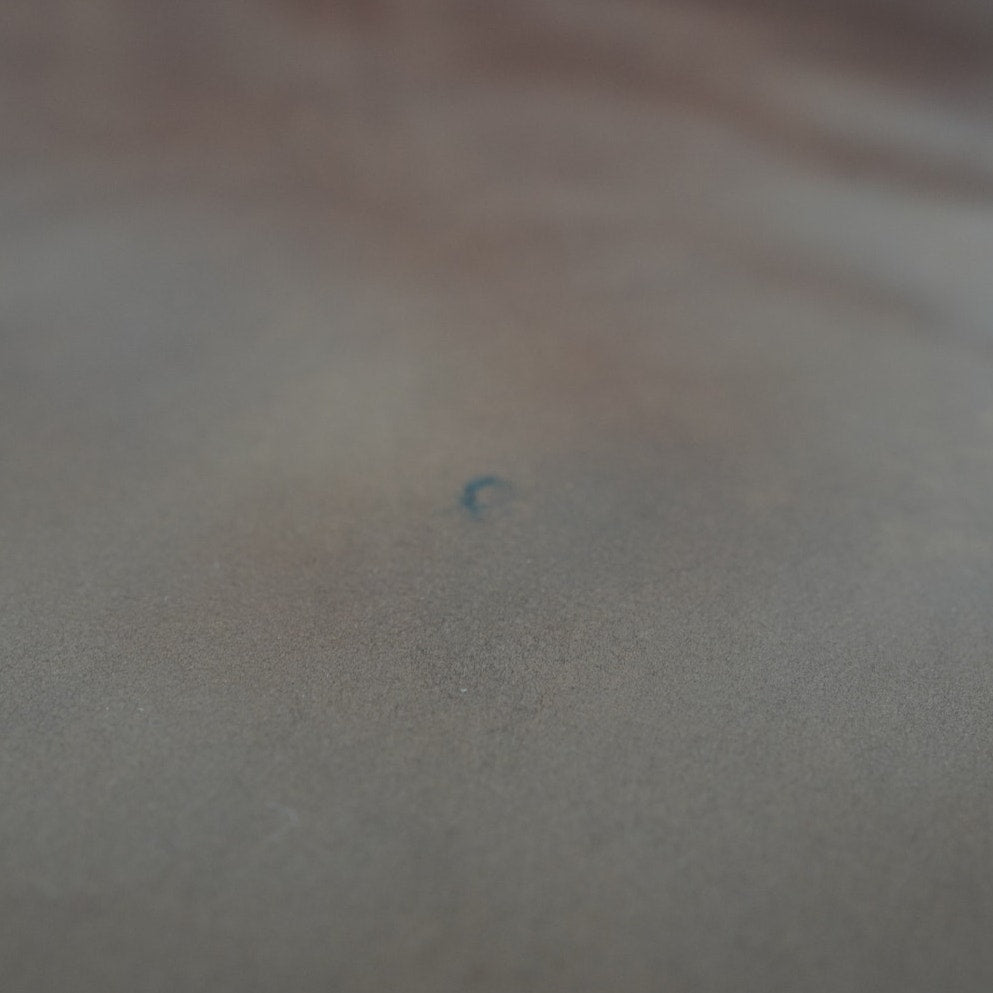 Pottery Barn Turner Roll Arm Leather Sofa