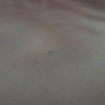 Pottery Barn Turner Roll Arm Leather Sofa